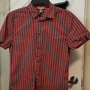 Cuban collard striped shirt